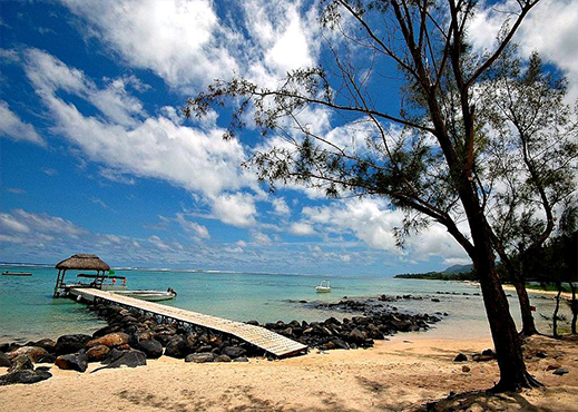 bel ombre mauritius